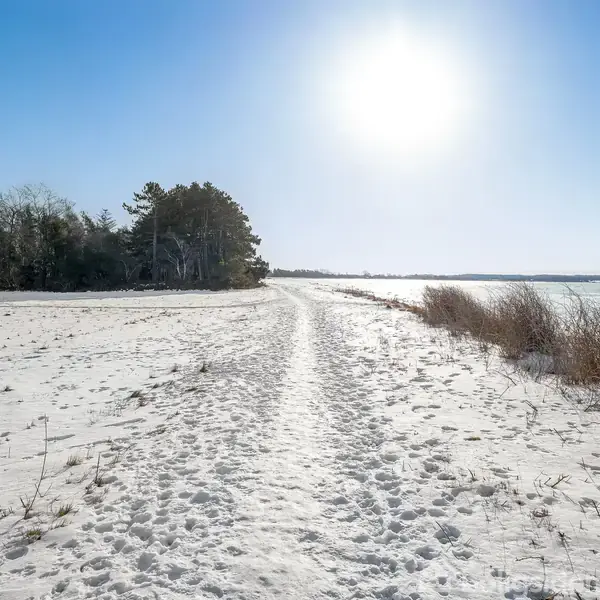 En sneklædt sti strækker sig langs en skovkant, hvor sneen er delvist smeltet, ved siden af en rolig sø under en klar blå himmel med skinnende sol.