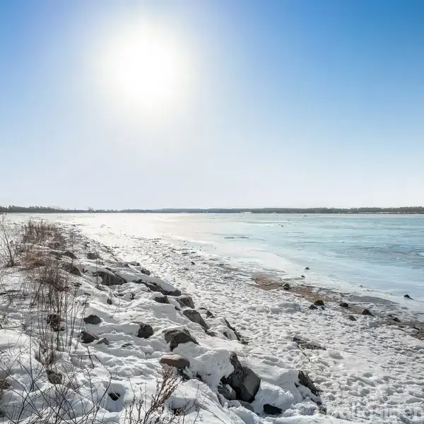 En sneklædt strandstrækning langs en frossen sø under en klar blå himmel, med solen stående højt. Træer grænser til stranden i venstre del af billedet.