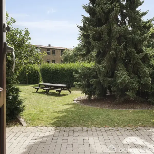 En åben havedør viser vej til en terrasse med fliser og en græsplæne. Et picnicbord står i midten under et stort nåletræ, omgivet af buske og et bygning i baggrunden.