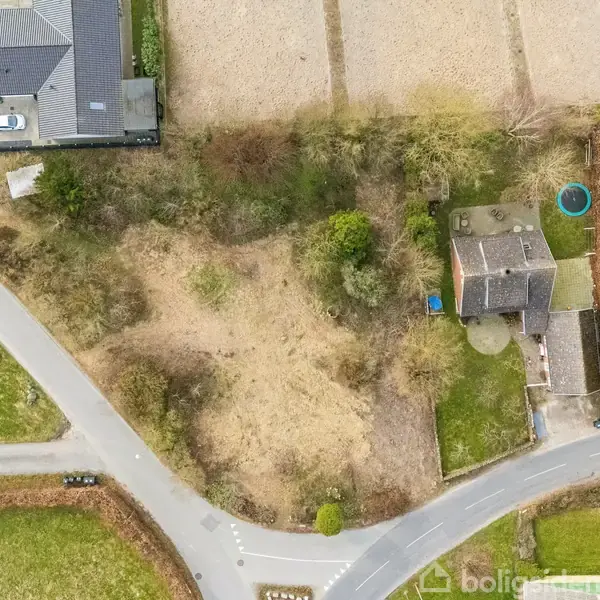 Grunden med tørret græs og spredte træer ses fra oven omgivet af veje og huse. En trampolin er placeret i en af de omkringliggende haver.