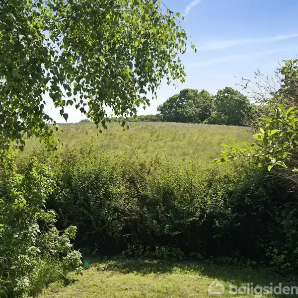 En bakket grøn mark omkranset af buske og træer under en blå himmel. Løv hænger ned fra venstre side og rammer scenen ind.