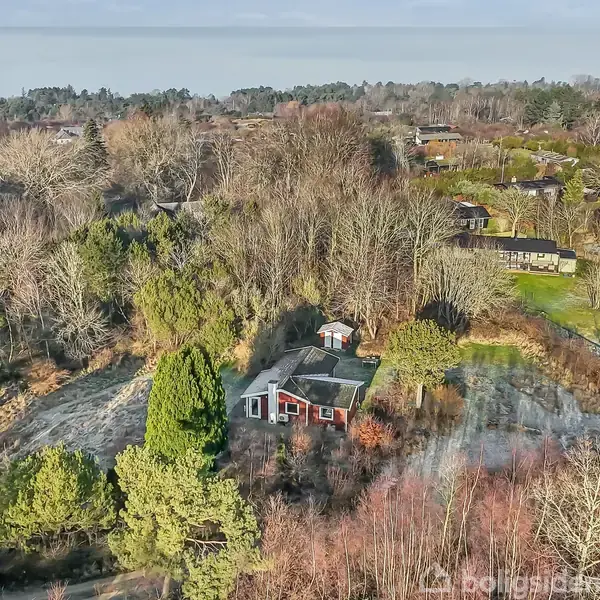 Et rødt hus med mørkt tag står midt blandt tætte træer og buske i et skovklædt område med flere lignende huse i baggrunden under en klar himmel.