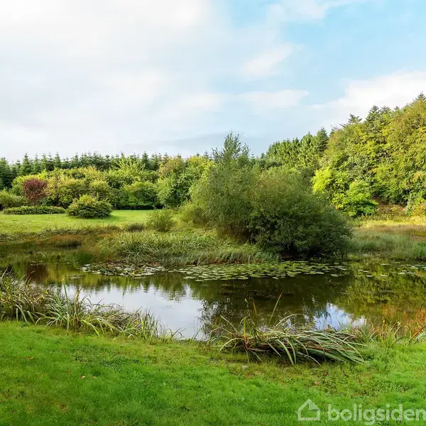 En lille dam med græs og buske omkring, spejler de omgivende træer i en frodig, grøn park. Himlen er delvist overskyet.