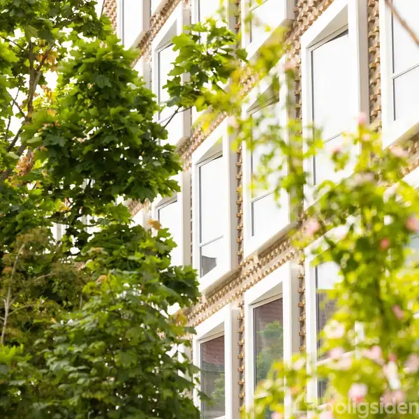 Bygning med store, hvide vinduer omgivet af frodige grønne træer i forgrunden. Vinduesrammerne er indrammet af en dekorativ facade.