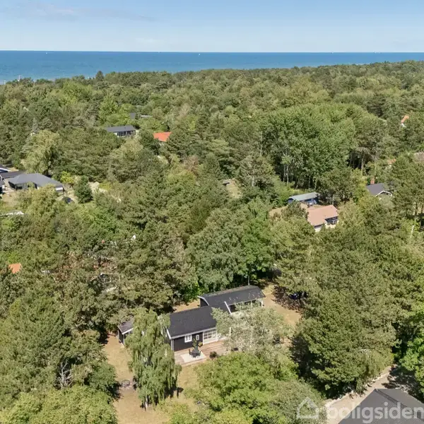 Et sommerhus omgivet af tæt skov, ligger blandt flere huse. I baggrunden ses havet og en klar himmel.