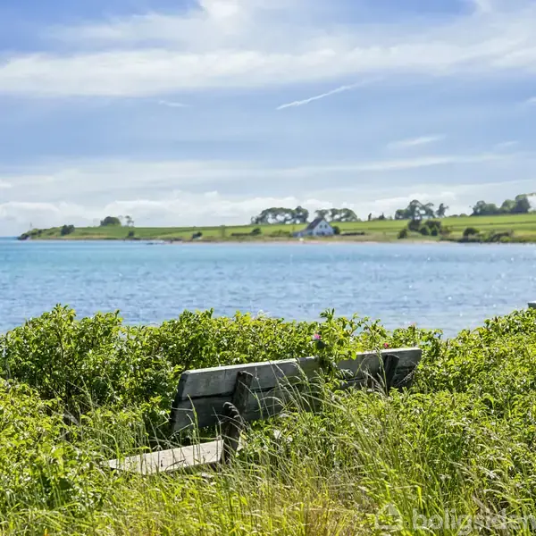 En bænk står stille omgivet af frodige buske med udsigt over en rolig kystlinje. I baggrunden ses marker og enkelte gårde under en blå himmel.