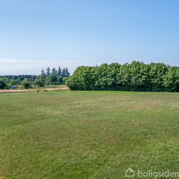 Græsmark strækker sig under blå himmel, omgivet af træer i baggrunden. Åbent landskab med grønne nuancer præger sceneriet, mens en skovlinje danner en naturlig grænse.