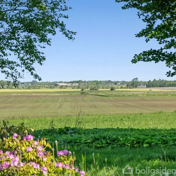 En blomstrende have med farverige blomster i forgrunden og en udsigt over en åben mark. Træer indrammer billedet, og det er en klar, blå himmel.