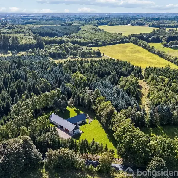 Et hus ligger midt i en tæt skov, omgivet af åbne marker og en lang række træer, under en klar blå himmel med lette skyer i horisonten.
