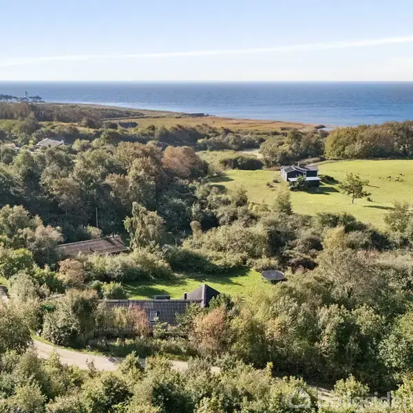 Et hus ligger midt i en frodig skov omgivet af spredte træer og en grøn mark. I baggrunden ses kystlinjen med havet under en klar himmel.