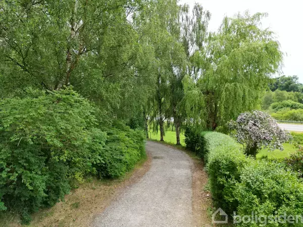 En smal grussti fører gennem frodig, grøn vegetation med høje træer og buske på begge sider, hvilket skaber en skovlignende atmosfære i naturlige omgivelser.