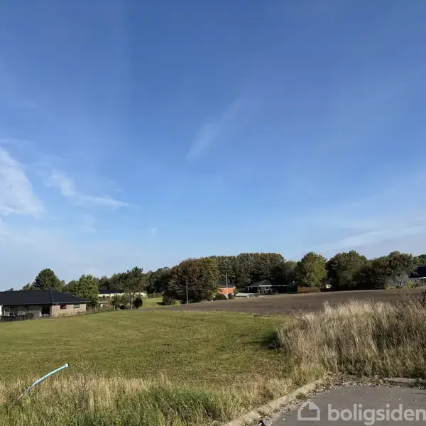 Grøn eng strækker sig under en blå himmel, omgivet af et sort taghus til venstre og træklædt horisont. Grusvej løber langs markens kant.