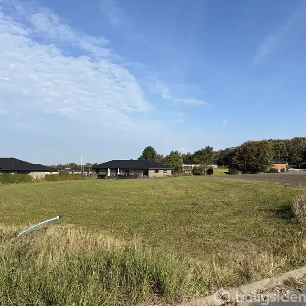 Græsmark strækker sig foran en række moderne huse med sort tag. Omgivet af træer og åbent landskab under en klar, blå himmel med lette skyer.