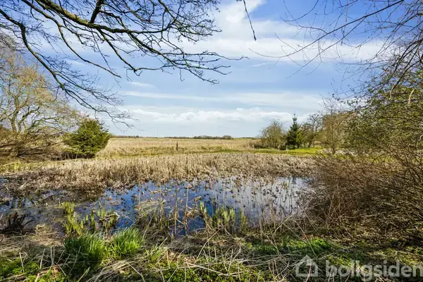 En dam reflekterer himlen og omgivet af grene og siv. I baggrunden ses en stor mark under blå himmel med spredte skyer.