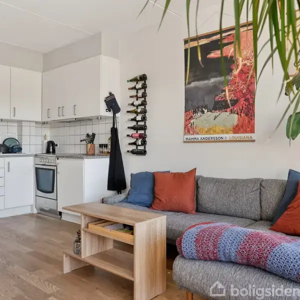 Et åbent køkken med hvide skabe og komfur. En grå sofa med farverige puder står ved siden af et lille bord. Plakat på væggen siger "HAMLET ANDERSEN I SOLGANG." En vinreol hænger ved siden af. Grønne planter hænger fra loftet.