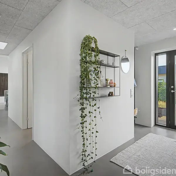 Entré med lys grå gulv og hvide vægge. En hylde med planter hænger på væggen. En dør til højre leder ud til en terrasse med grønt i baggrunden.