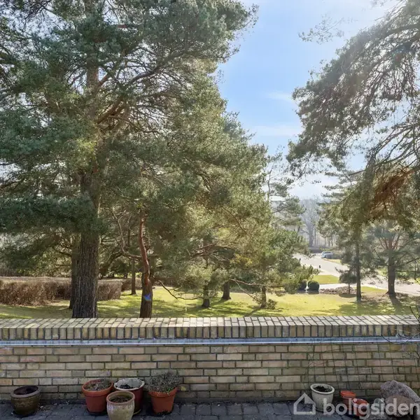 En række blomsterpotter står stille på en murstensmur, med store, grønne fyrretræer i baggrunden og en solrig park i det fjerne.