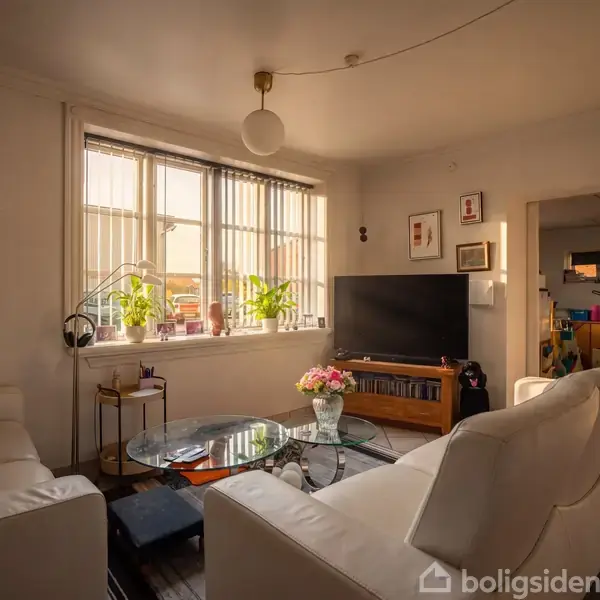 En stue med hvide sofaer og et sofabord i glas står stille i aftensolen. Et stort vindue med planter tillader lysindfald. Tv'et står på en træhylde, omgivet af billeder på væggen.