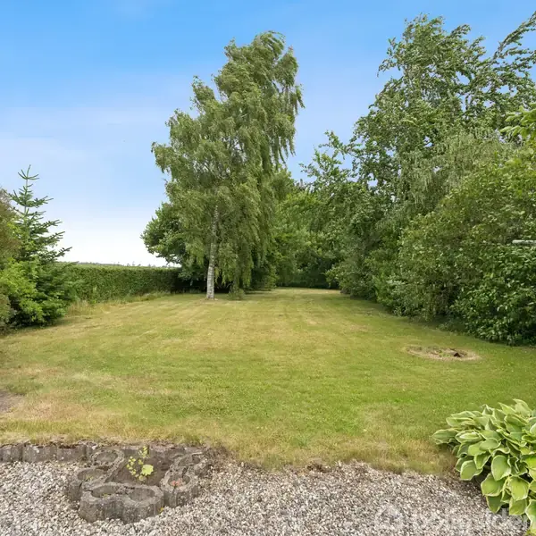 Græsplæne omgivet af forskellige træer og buske; et roligt landskabsområde med en blå himmel. I forgrunden er der grus og nogle grønne blade.