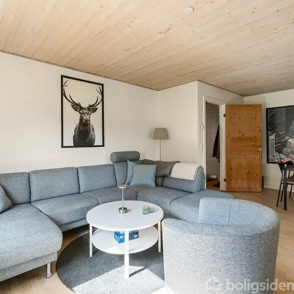 Grå sofa står i en lys stue med trægulv og træloft. Et rundt sofabord er foran sofaen, og væggen har billeder af en kronhjort og et bybillede.