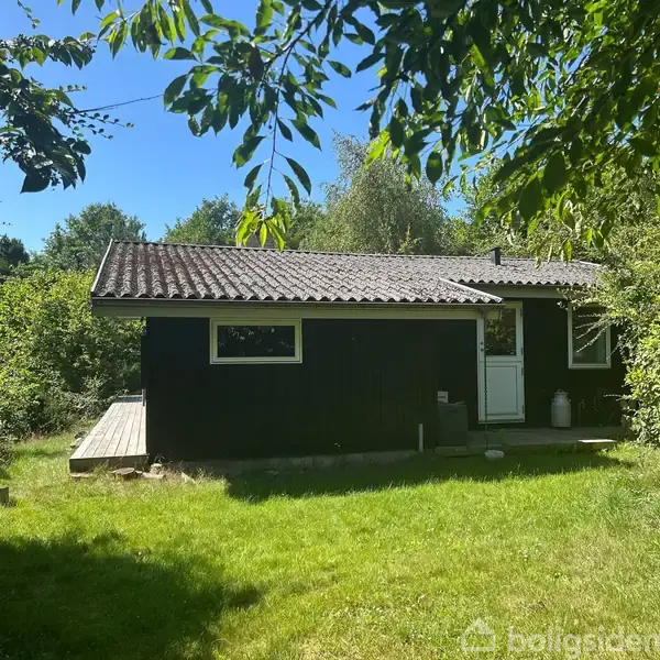 Et sort sommerhus står stille omgivet af frodigt grønt græs og træer. Et fladt tag rager ud over verandaen. Sollys filtreres gennem bladene.