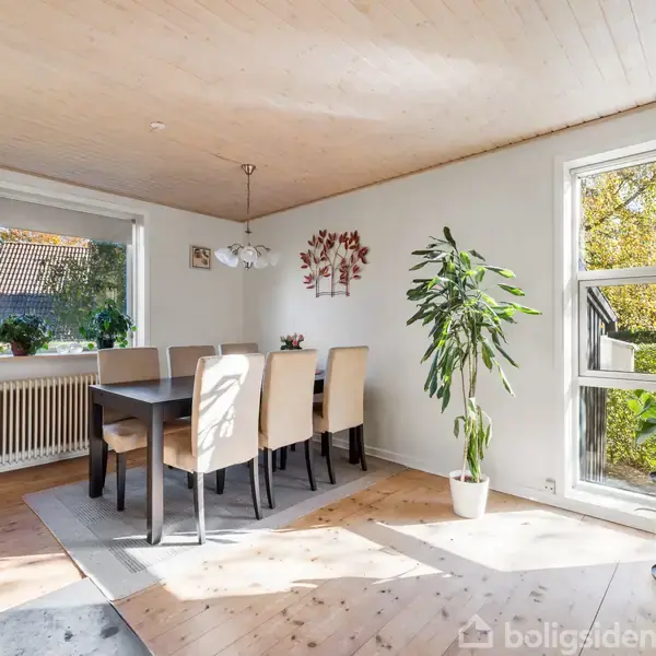 Spisebord omgivet af seks polstrede stole står på et tæppe i et lyst rum med trægulv. Store vinduer og flere grønne planter skaber en naturlig atmosfære.