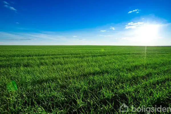 Planteavlsgård/-jord på Kystvejen, 9480 Løkken