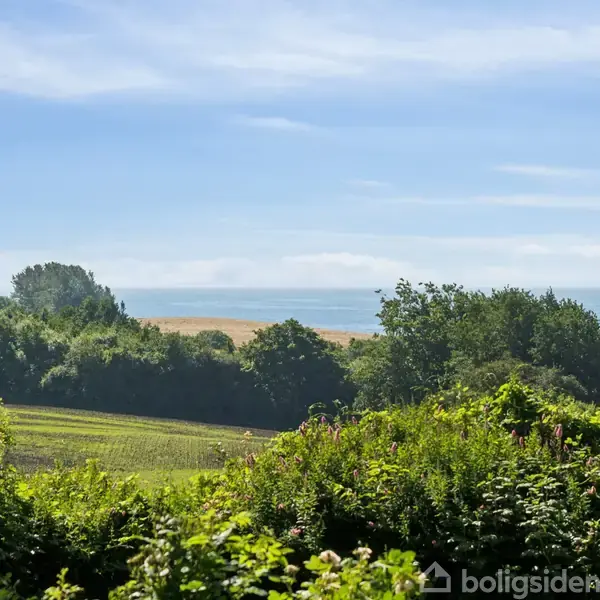 Landskab viser grønne marker og bakker med frodige buske i forgrunden. I baggrunden ses havet under en blå himmel, hvilket giver en fredfyldt og naturskøn udsigt.