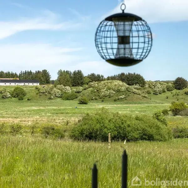 En fuglefoderautomat hænger i luften over en grøn eng med buske og træer i baggrunden under en blå himmel. I horisonten ses et langt, hvidt hus.