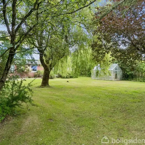 Græsplæne med træer står roligt omringet af frodig vegetation. Et drivhus står i baggrunden, omgivet af grønne buske og træer under en blå himmel.