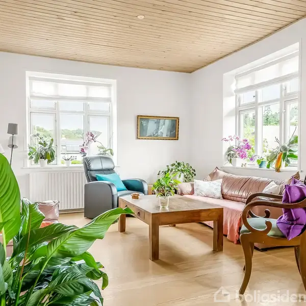 Stue med sofa og lænestol omkring et træbord, omgivet af planter. Hvide vægge og loft i træplanker. Store vinduer lader sollys strømme ind, og farverige puder pynter møblerne.