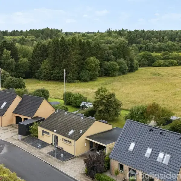 Række af huse med mørke tage ligger langs en stille vej; omkranset af grønne træer og en åben mark i baggrunden under en blå himmel.