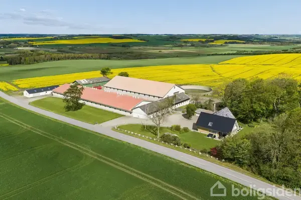 Svinegård/-jord på Skibstedbrovej 24, 9293 Kongerslev