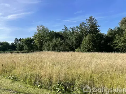 Helårsgrund på Fennikelvænget 3, 4840 Nørre Alslev