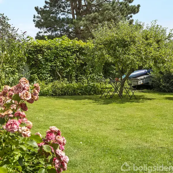 En grøn have med en lille foldestol og et bord placeret under et træ. Rosenbuske blomstrer i forgrunden, omgivet af en tæt hæk og store træer i baggrunden.
