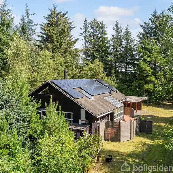 Et sort hus med solpaneler på taget står omgivet af tæt skov. En græsplæne omgiver huset, som er indlejret blandt høje grønne træer under en blå himmel.