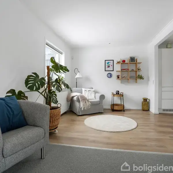 Gråt sofaarrangement med blå pude og lampe står i en lys stue med træ- og gulvtæppe. Plante ved siden af og åbning til køkken. Hylder og billeder på væggen.