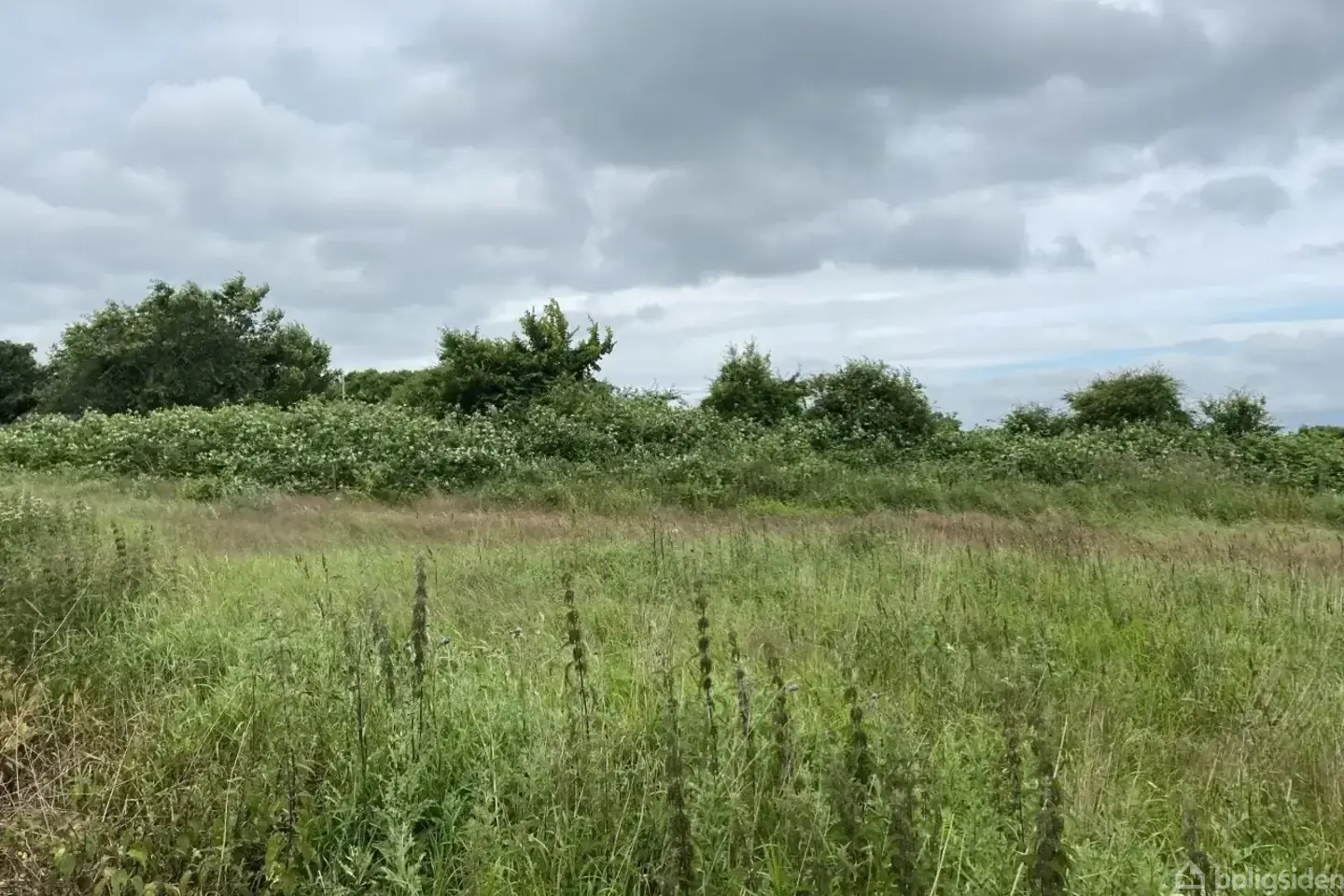 Helårsgrund på Tangsøgade 12, 7650 Bøvlingbjerg