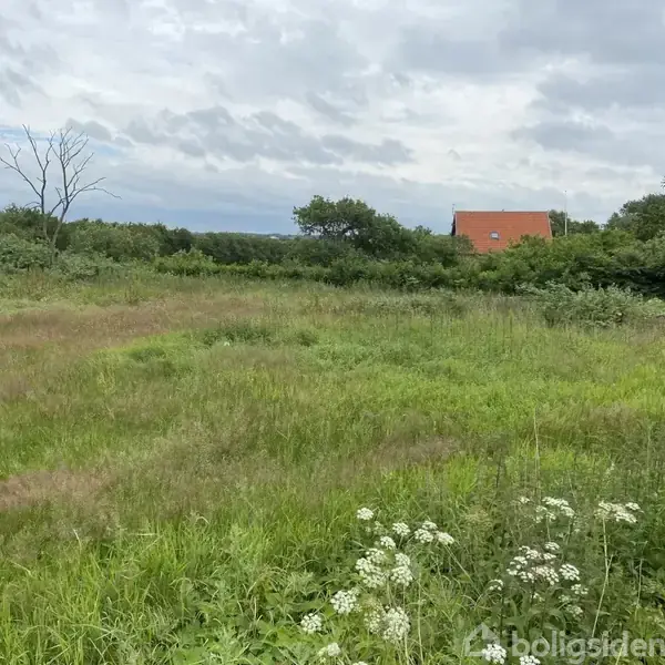 En grøn mark med vilde blomster og græs strækker sig mod en enkelt rød bygning, der ligger i det fjerne blandt træer og buske under en overskyet himmel.