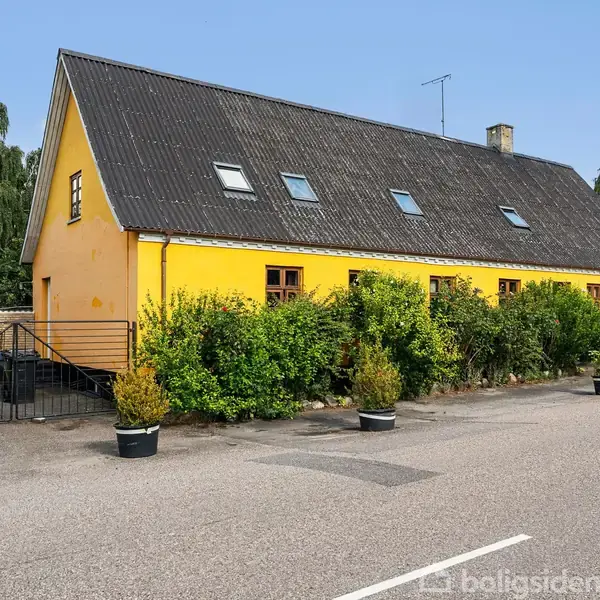 En gul murstensbygning med tagvinduer, omgivet af grønne buske i krukker, står ved siden af en asfalteret vej. Træer ses i baggrunden.