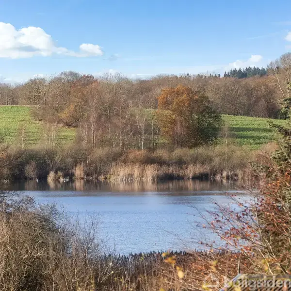 En sø ligger stille omgivet af græsmarker og træer i efterårsfarver. I baggrunden ses en skov under en blå himmel med spredte hvide skyer.
