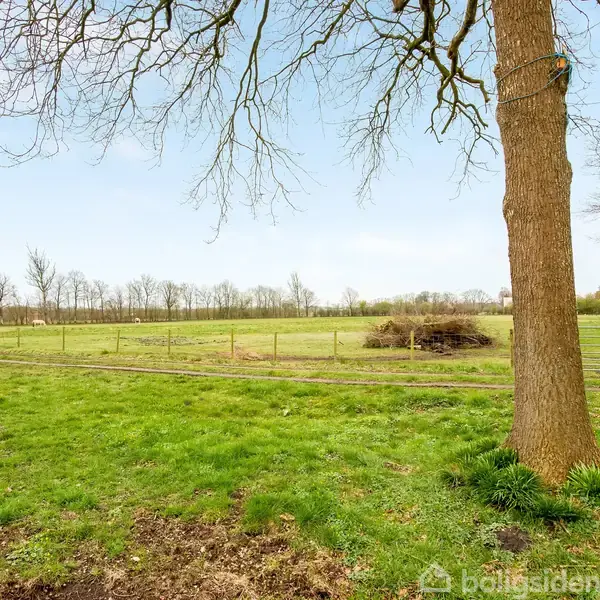 Et træ står stille nær en græsmark omgivet af et lavt hegn og spredte buske. I baggrunden ses en række træer under en klar himmel.