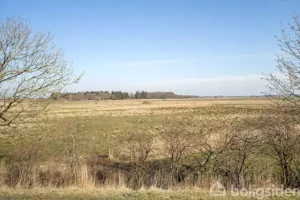 Et åbent landskab med græsmark og spredte, nøgne træer. Himlen er klar og blå, og horisonten viser en lav skov i baggrunden.