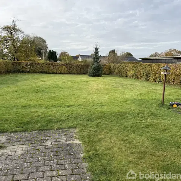En velplejet græsplæne med en enkelt grantræ i midten strækker sig mod en lav hæk. Til venstre er der en terrasse med fliser. En fuglefoderstation står i højre side.