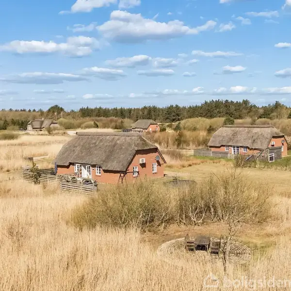 Stråtækte, røde huse står stille blandt høje siv i et landligt område med skov i baggrunden under en blå himmel med lette skyer.