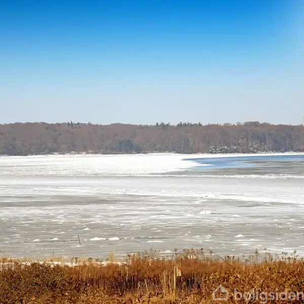 Frossen sø strækker sig i forgrunden, dækket af is, med en skovklædt horisont under en klar blå himmel. Græs og træer ses langs kanten.