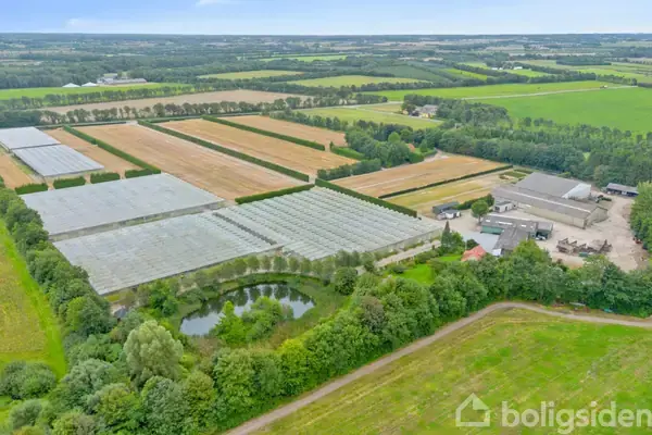 Planteavlsgård/-jord på Kongeåvej 10, 6600 Vejen