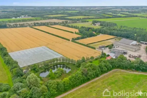 Planteavlsgård/-jord på Kongeåvej 10, 6600 Vejen