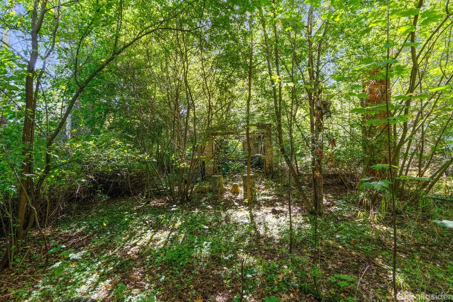 Fritidsgrund på Fjordvænget 6, 4571 Grevinge