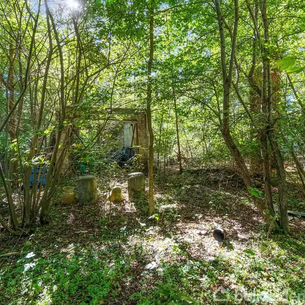 En forladt have med tæt bevoksning af træer og buske omgiver en gammel, forfalden indgangsportal. Sollys filtreres gennem bladene og danner mønstre på jorden.